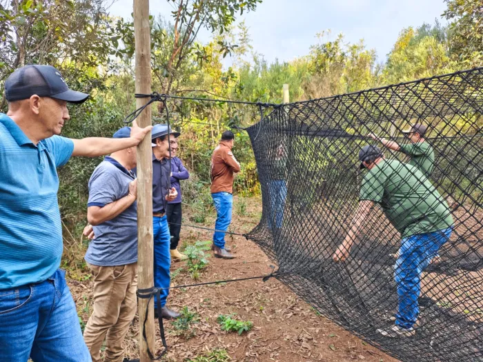 IMA avança no controle de javalis em unidades de conservação estaduais