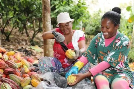 Foto: Ítalo Oliveira/SDR