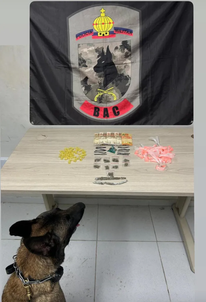 BAC apreende drogas no bairro Resistência em Vitória