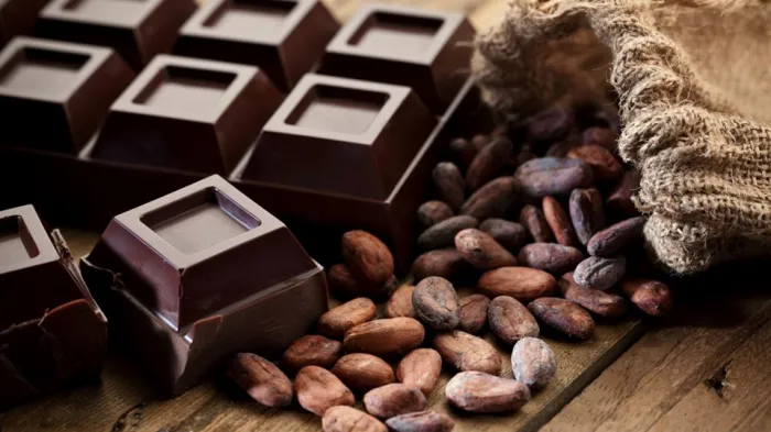 Espírito Santo celebra Dia Mundial do Chocolate com valorização de sua produção de cacau