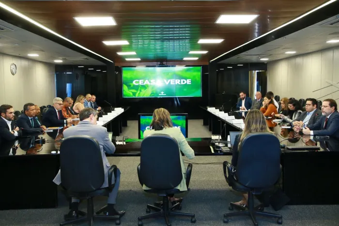 Caruaru participa de reunião estratégica no Ministério de Minas e Energia