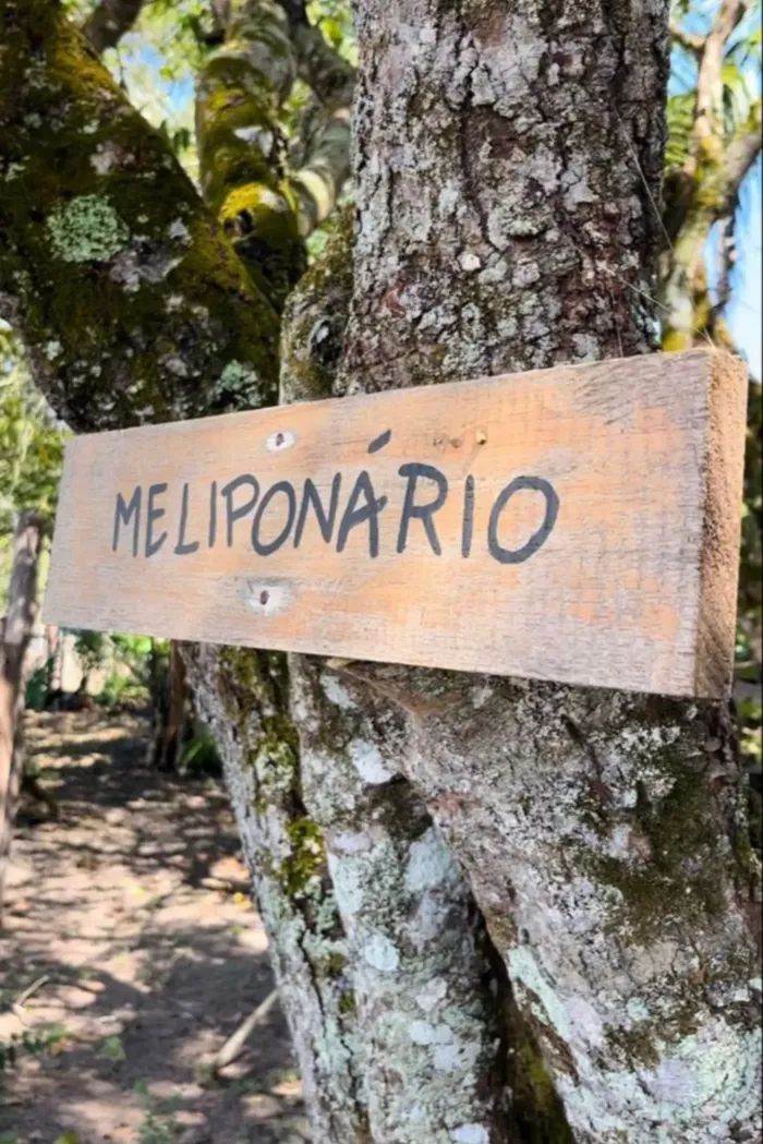 Foto: Michele Lucas (Ideflor-Bio)