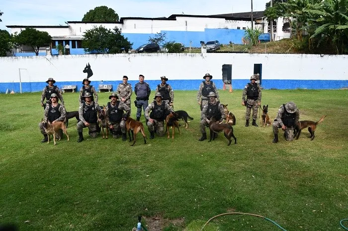 Polícia Militar apresenta novos cães para reforçar o efetivo do BAC