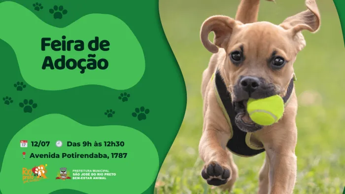 Bem-estar Animal faz campanha de adoção neste sábado, 12/7