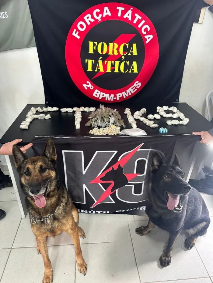 2º BPM REALIZA APREENSÃO DE DROGAS EM NOVA VENÉCIA