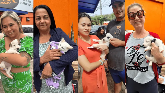 Campanha de adoção tem 13 animais acolhidos neste sábado