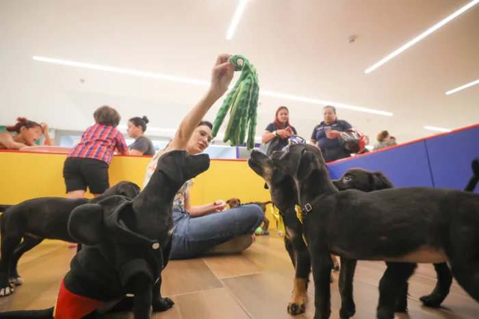 Crédito: Jader Paes/Agência Belém