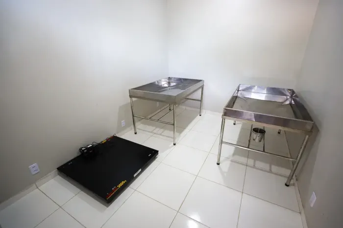 Foto: Rodrigo Pinheiro - Ag. Pará