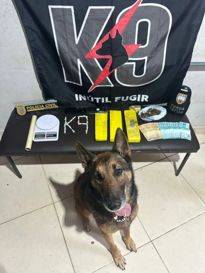 Foto: Reprodução/Polícia Militar - ES