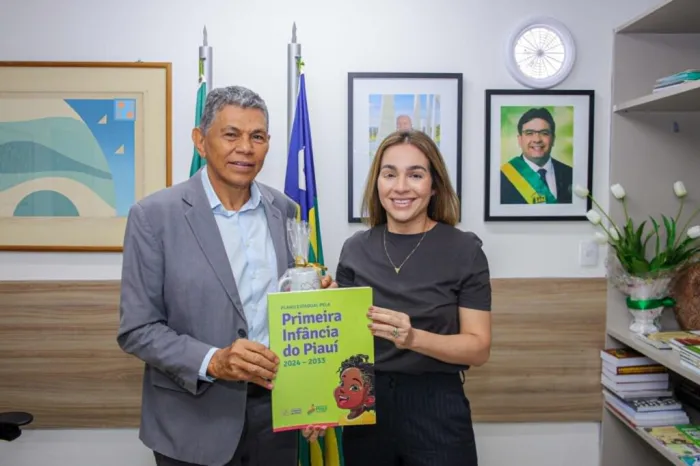 Pacto pelas Crianças do Piauí e Sasc avançam na regionalização do acolhimento familiar no estado