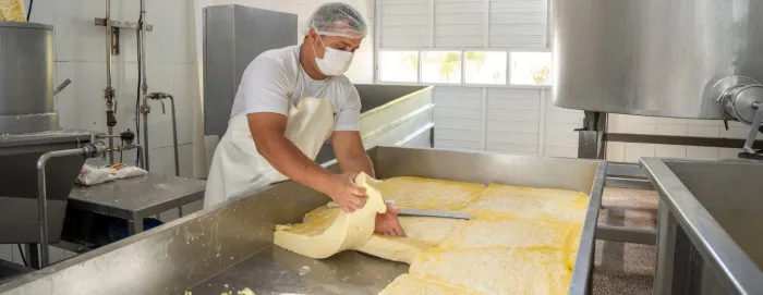 Maranhão avança com nova ‘Rota do Queijo’ e conquista prêmios importantes no cenário nacional