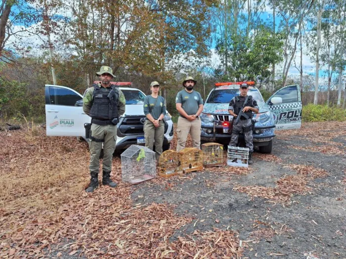 Foto: Reprodução/Secom Piauí