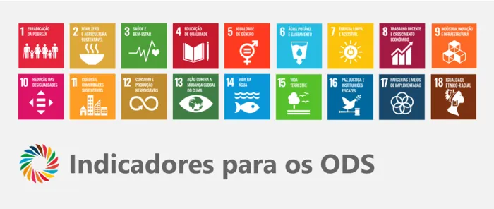 IJSN lança Painel BI que reúne de forma inédita indicadores sobre ODS