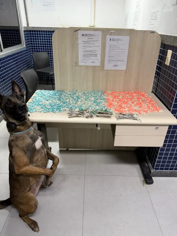 BAC apreende entorpecentes durante a Operação Força e Presença em Vila Velha
