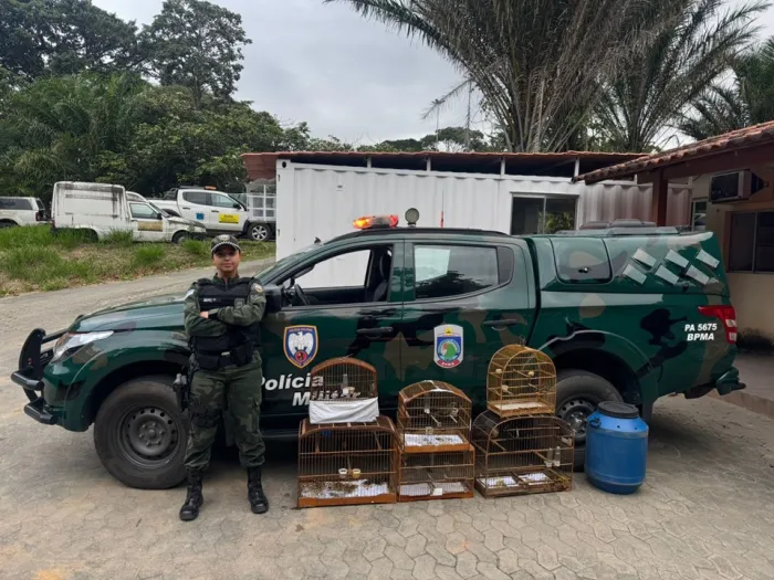 Foto: Reprodução/Polícia Militar - ES