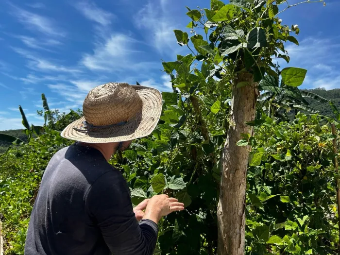 Santa Catarina tem 21 cidades habilitadas aos recursos do Programa de Aquisição de Alimentos Indígena