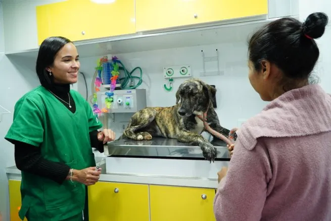 Foto: Reprodução/Prefeitura de São Sebastião - SP