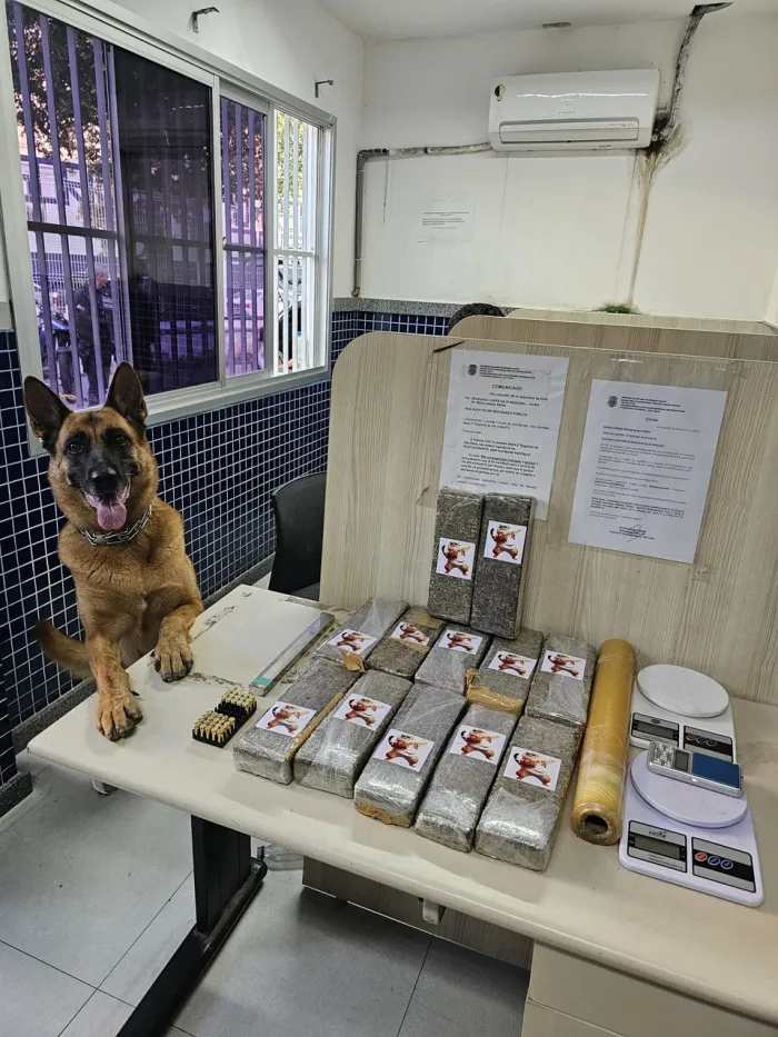 Foto: Reprodução/Polícia Militar - ES