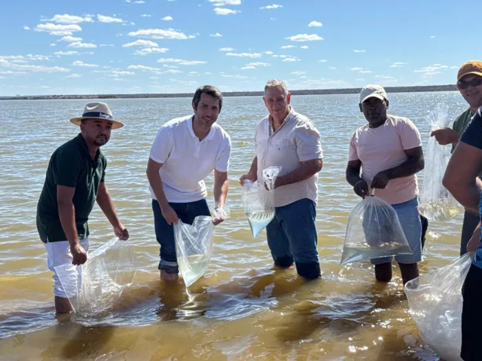 Semarh repovoa rios e lagoas do Sul do Piauí com mais de 400 mil alevinos de espécies nativas