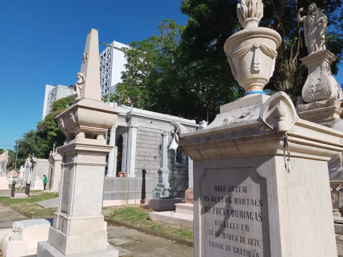 Foto: Reprodução/Agência Belém