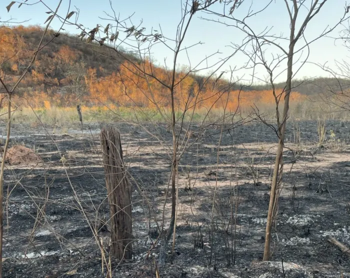 Brigadistas controlam incêndio em área próxima aos Cânions do Viana no sul do Piauí