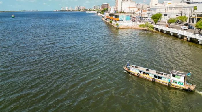 Expedição de tototó marca Dia Mundial de Proteção aos Manguezais em Sergipe neste sábado, 26