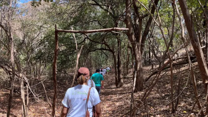 Turistas mineiros ficam encantados com a Floresta Fóssil
