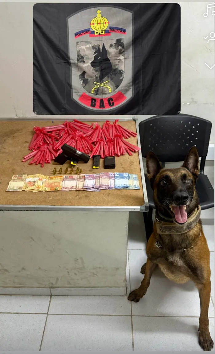 BAC realiza apreensão de arma, munição, drogas e dinheiro no bairro Santo Antônio, em Vitória
