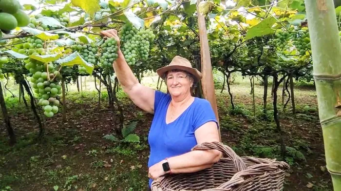 Santa Catarina tem o menor índice de insegurança alimentar do país, aponta estudo com base nos dados do CadÚnico