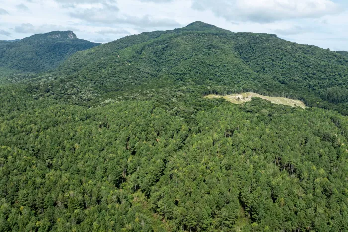 SC consegue suspender tramitação de processos que questionam Código do Meio Ambiente