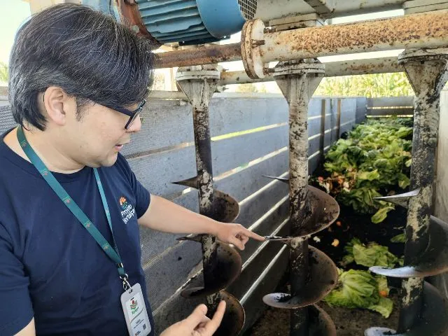 Compostagem garante destinação correta aos resíduos domésticos e hortaliças viçosas para a alimentação da família
