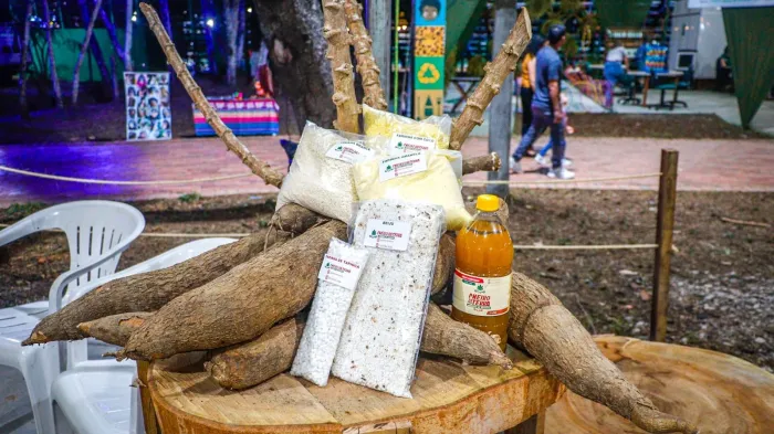 Prefeitura de Rio Branco fortalece cadeia produtiva da mandioca e incentiva agroindústria local