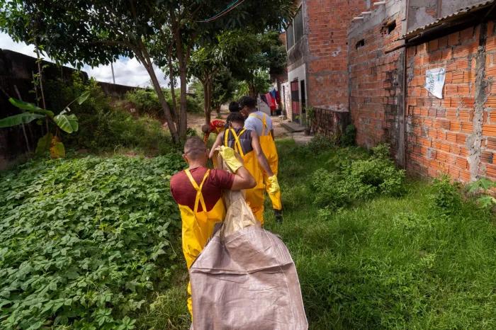 Sema participa de ação de limpeza e educação ambiental nos manguezais de Paço do Lumiar