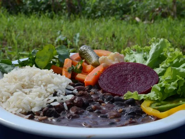 Foto: Reprodução/Secom SC