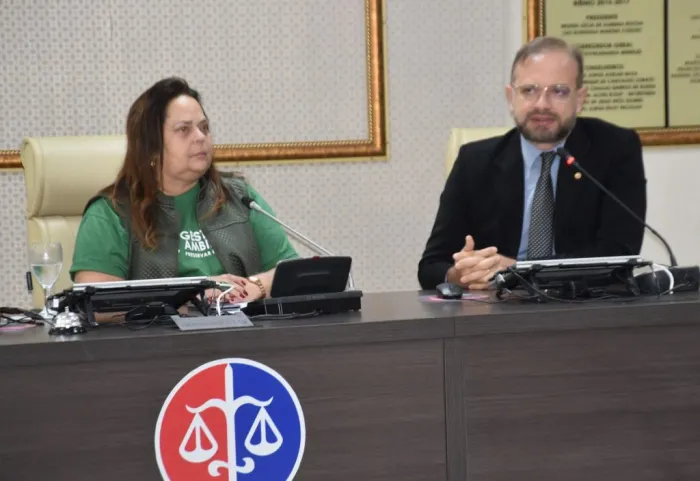 SÃO LUÍS – Projeto de arborização é apresentado em reunião da Comissão Ambiental