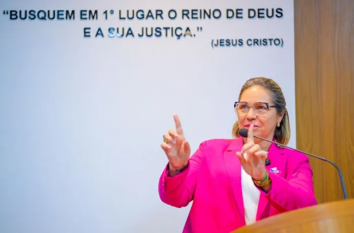 Flávia Berthier destaca ações sociais e culturais em sessão na Câmara de São Luís