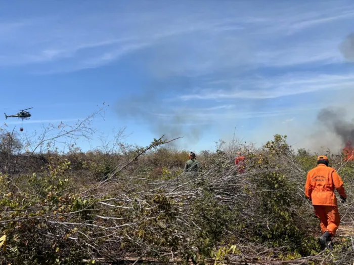 Incêndio em Pavussu está controlado e deve ser extinto até quinta-feira (7)