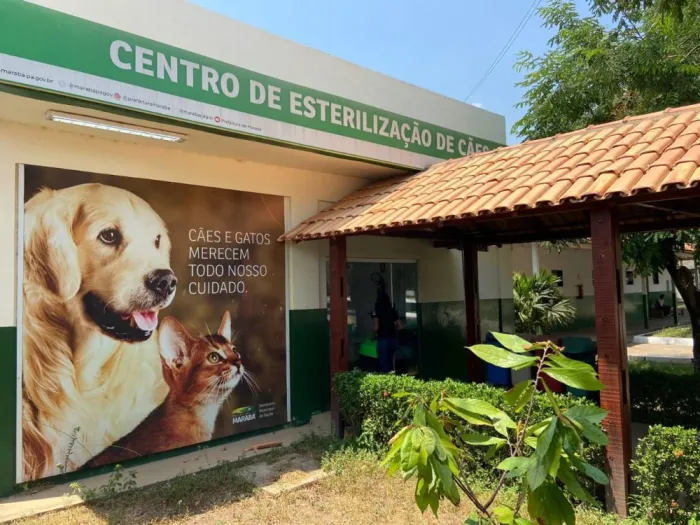 CCZ: Na próxima semana, bairros São Félix, Araguaia e Jardim Vitória ganham ações de combate à leishmaniose