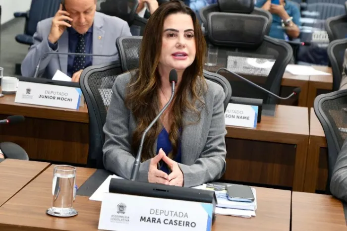 Mara Caseiro trabalha pela reforma estrutural de escola estadual em Terenos