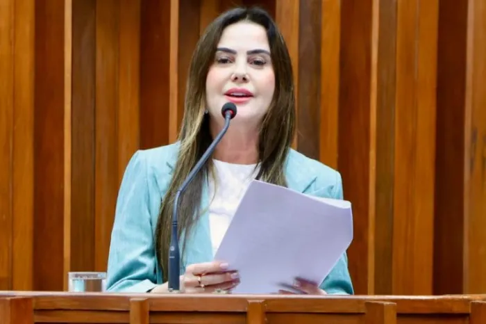 Para Santa Rita do Pardo, Mara Caseiro solicita aquisição de poltronas hospitalares