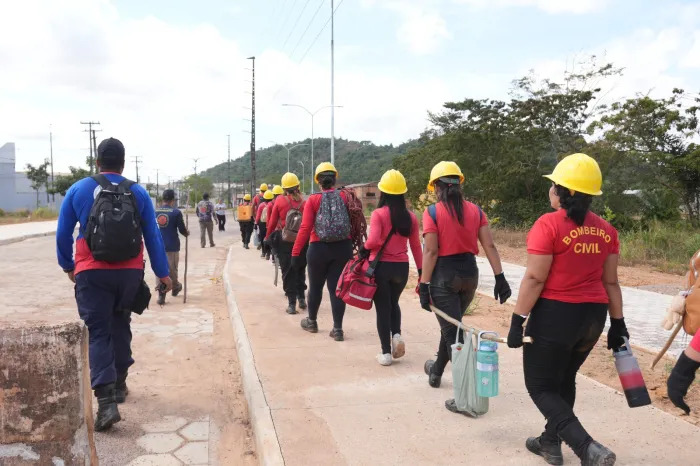 Foto: Reprodução/Prefeitura de Parauapebas - PA