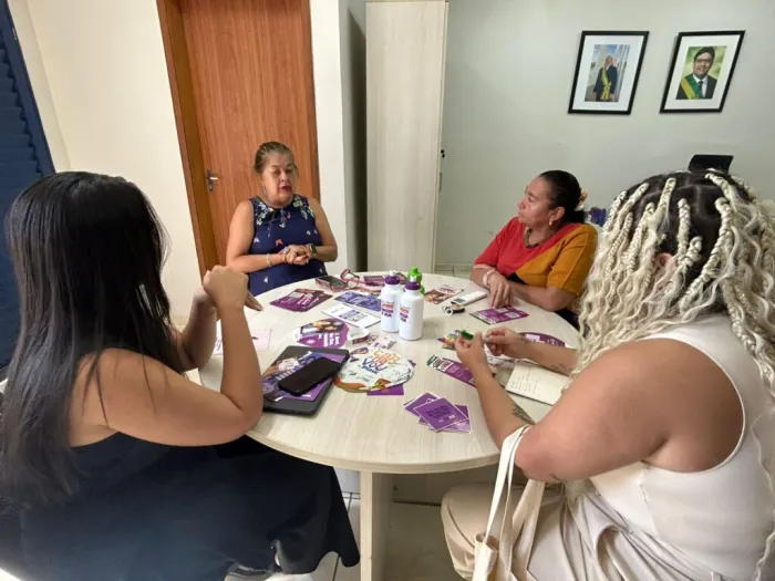 Sempi e Instituto Madrinha alinham parceria para qualificar mulheres empreendedoras no Piauí