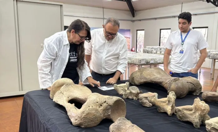 Fapepi reforça parceria com FUMDHAM para fortalecimento da pesquisa arqueológica no Piauí