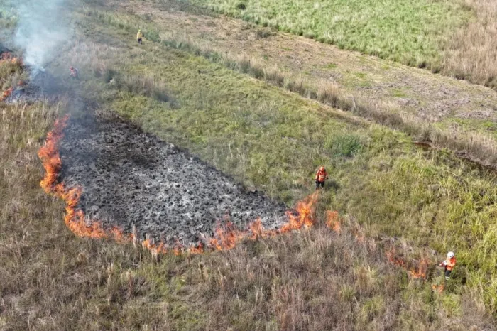 Agosto Cinza: MS registra até mil incêndios no mês mais crítico e reforça alerta
