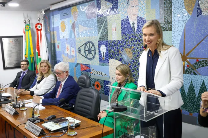 Conselho Estadual de Educação empossa nova mesa diretora para biênio 2025-2026