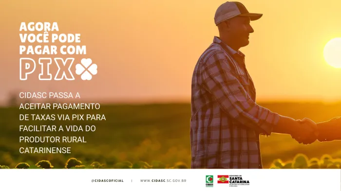 Cidasc passa a aceitar pagamento de taxas via PIX para facilitar a vida do produtor rural catarinense