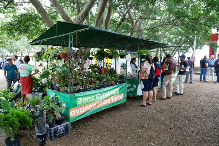 Dia de Campo leva inovação tecnológica à agricultura familiar em Caruaru