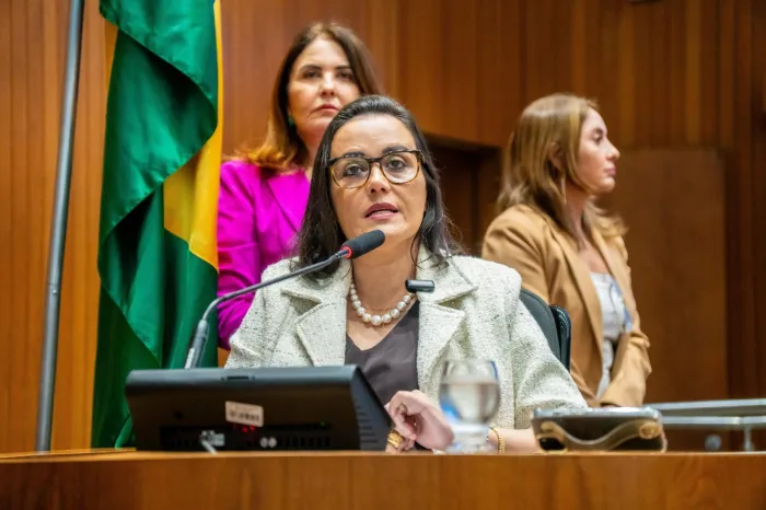 Andrea Rezende alerta sobre impactos de MP sobre famílias beneficiárias do BPC