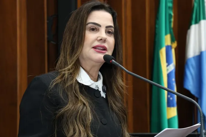 Para a autora do projeto, Mara Caseiro, a festa tem participação fundamental para o fortalecimento da identidade cultural do município