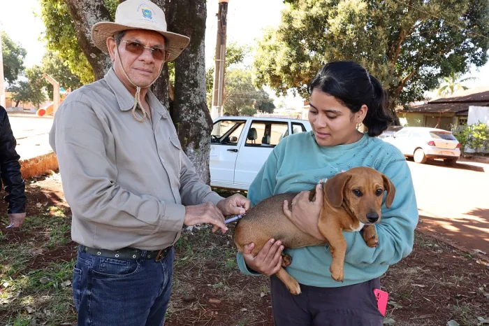 Prefeitura intensifica vacinação antirrábica e oferece diversos pontos para imunização animais